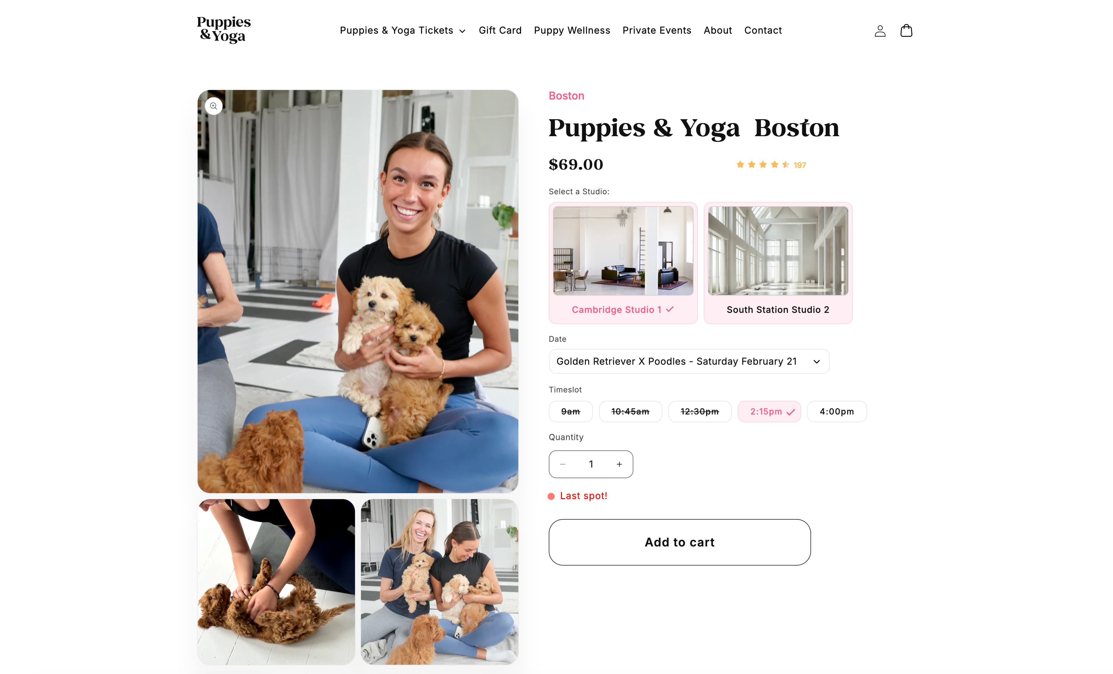 Puppies & Yoga website detail page